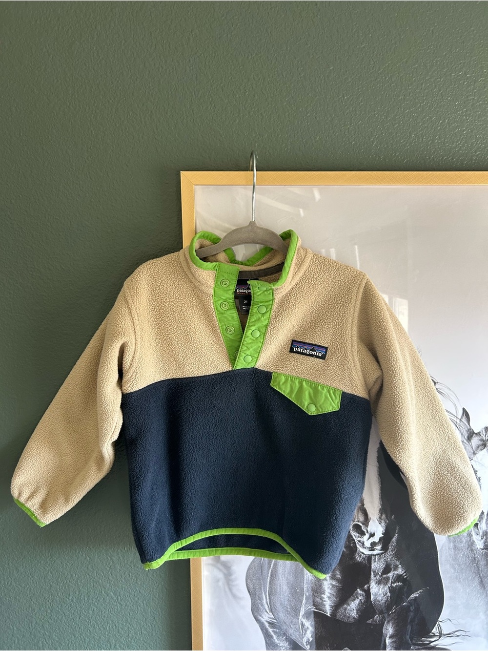 Patagonia Toddler Lightweight Synchilla® Snap-T® Fleece Pullover